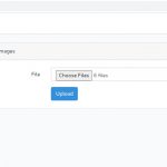 Laravel Form Multiple Upload Files