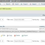 Laravel upload file or images database success